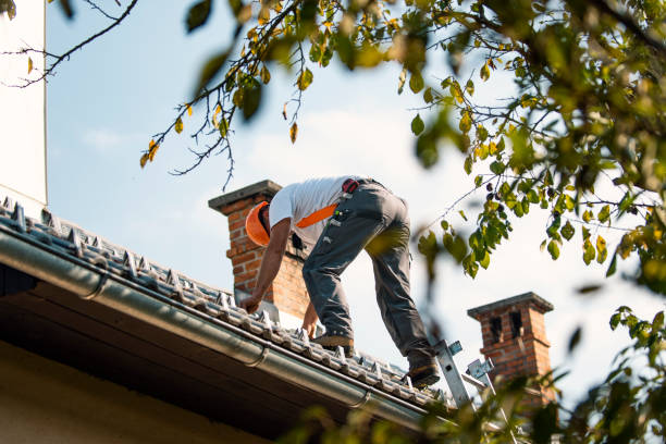 Best Flat Roof Repair Services  in Lisbon, OH