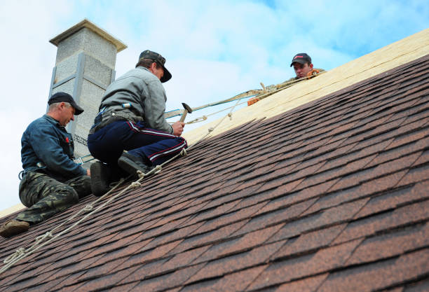 Best Roof Repair Services  in Lisbon, OH